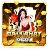 dbk333